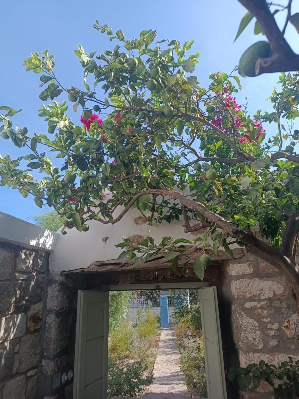 Latmos 1860 Villa สกาลา ภายนอก รูปภาพ